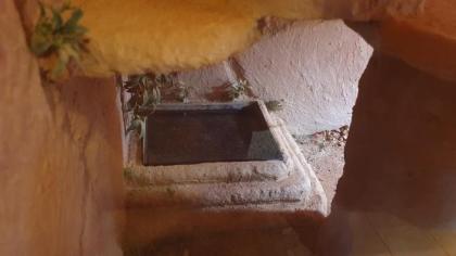 Terrarium mit bartagame XXL