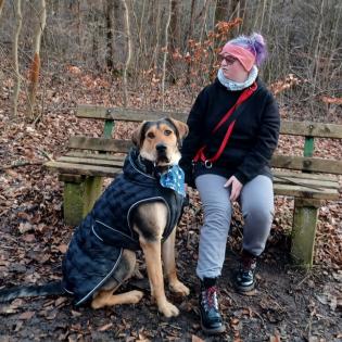 Valentino sucht neue, liebevolle- aber hundeerfahrene Menschen