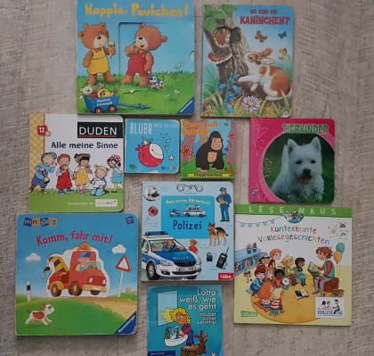 Set Bücher Kinderbücher Tierbuch Ministeps Klappenbuch