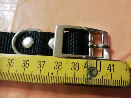 Halsband mit Halstuch abnehmbar, neu