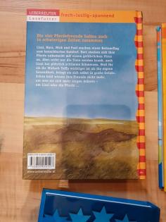 Verschiedene Jugendbücher Pferdebücher/Tierbücher Wendy, etc.