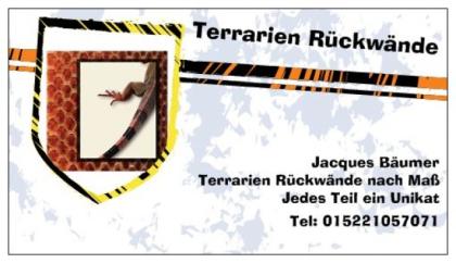 Terrarien nach Maß 3D Rückwände nach Maß Terrarium komplett