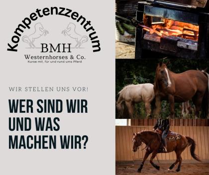 Kurse Rund ums Pferd - Weihnachtsaktion