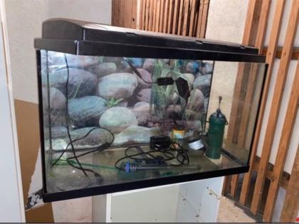 Aquarium mit Zubehör