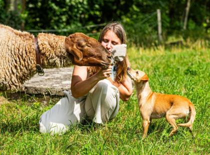 Tierkommunikation