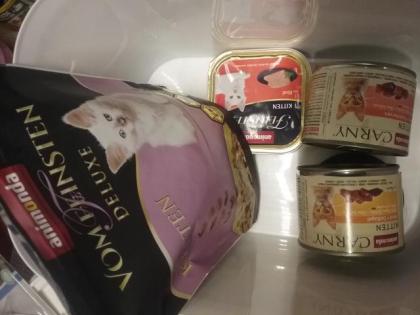 Kitten Futter zu verschenken