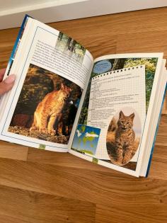 Polnische Kinder Bücher Tierbücher Zwierzeta ksiazki