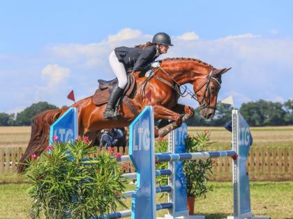 Stute sucht zuverlässige Reitbeteiligung