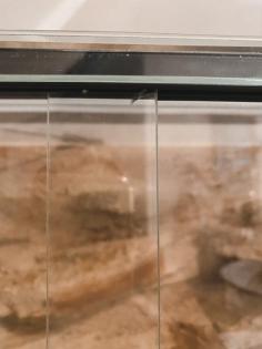 Glasterrarium Reptilien