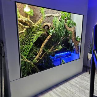 -20 auf alle Premium Kunststoff Terrarien und Terrarium Racks Anlage Wand