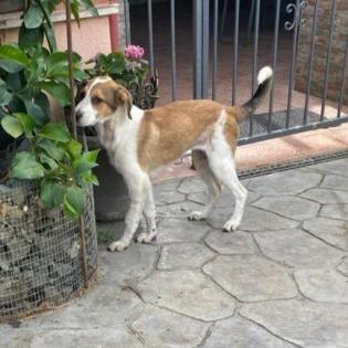Angela / Status sucht ein Zuhause