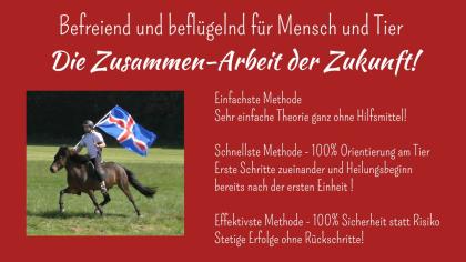 Vom Problem zur Freiheit durch absolute Verbundenheit