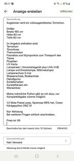 Terrarium voll ausgestattet mit Königspython