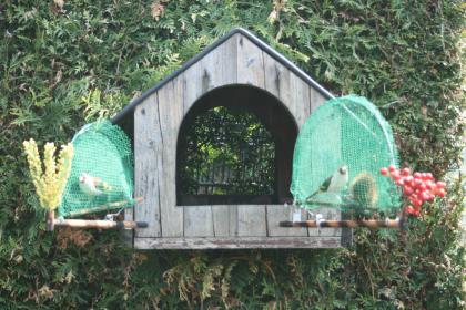 Große Vogelfalle, Bird Trap, Lebendfalle, Kloben