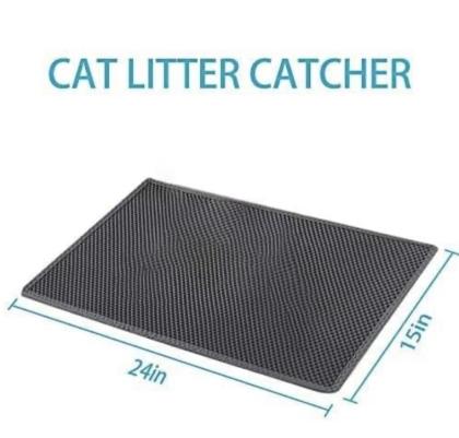 Heilige Birma Kitten Kater Katze