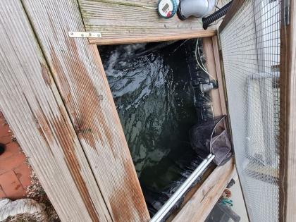 Hälterungs Becken IBC