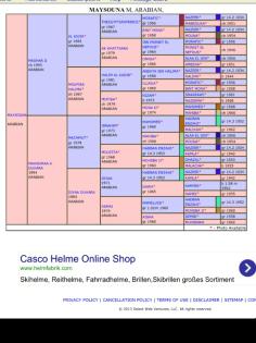 Vollblutaraber Zuchtstute
