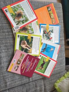 Tierbücher/ Ratgeber
