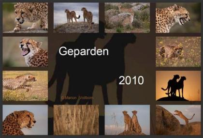 Geparden Kalender 2021