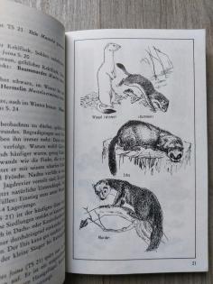 Tiere sehen und bestimmen - Tierbuch Biologie Natur