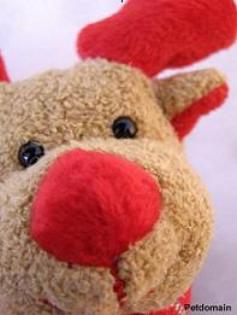 Vorweihnachtsgrüße