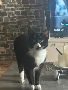 Kater Zubehör bar Zahlung bei Abholung