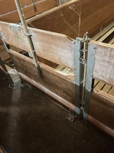 Schweineaufstallung Buchten Abtrennung Schweine
