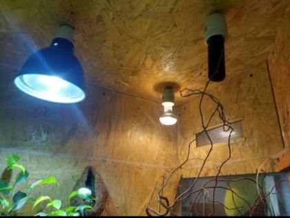 Terrarium auf Rollen