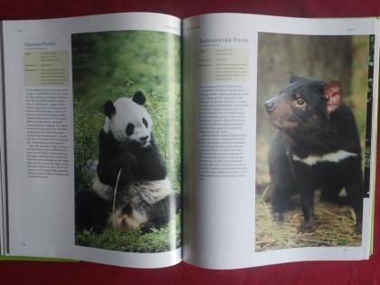 Schönes Tierlexikon Tierbuch Tieratlas Sachbuch über Tiere