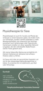 Tierphysiotherapie für Hunde mit Unterwasserlaufband