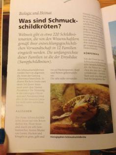 Schildkröten Buch Wasserschildkröten GU Kosmos Tierbuch