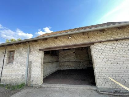 Offenstallplatz in Haltergemeinschaft, Borgholzhausen