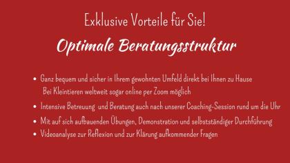 Vom Problem zur Freiheit durch absolute Verbundenheit