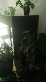 Großes Wüsten - Terrarium bezugsfertig