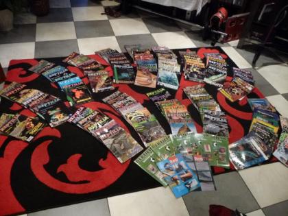 Repilia - Drago - Terraria Fachzeitschriften Abzugeben