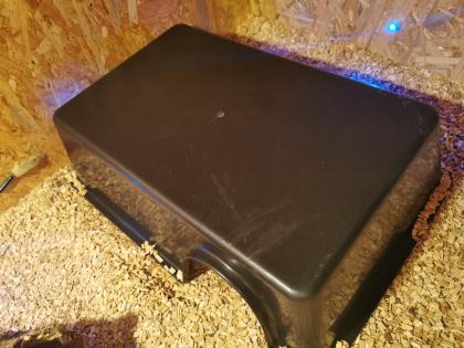 Verkaufe meine 2 Königspythons mit Zubehör
