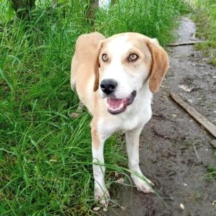 Mo / Status sucht ein Zuhause