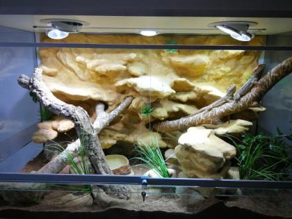 Terrarium 150x70x90 inkl. Schrank, Rückwand Beleuchtung