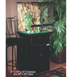 Edrchamäleons Pärchen inkl Exo Terra Terrarium superpaket