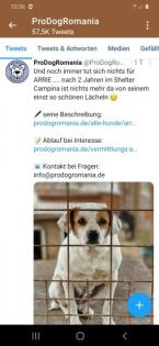 Wem dürfen wir treu zur Seite stehen