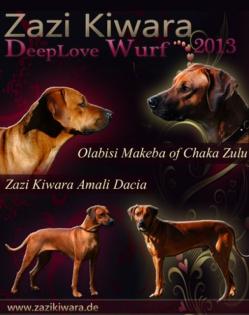 Rhodesian Ridgeback Welpen mit Pap. aus liebevoller Familienzucht 06. 05. 2021