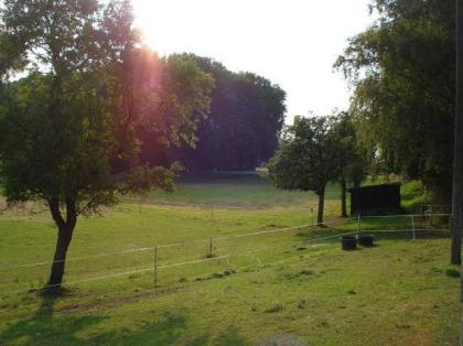 Pferdeboxen Laufstallplätze frei