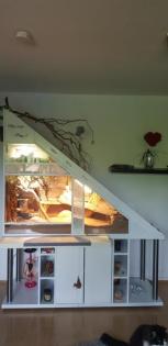 Terrarium mit Bartagame