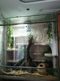Terrarium 120x120x80