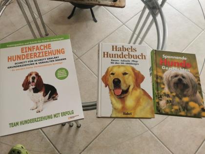 Einfache Hundeerziehung Buch plus 2 x Bonus