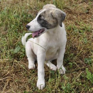 Bounty / Status sucht ein Zuhause