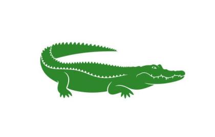Kaiman What app Gruppe Boerse Reptilien Verkauf Gesuche