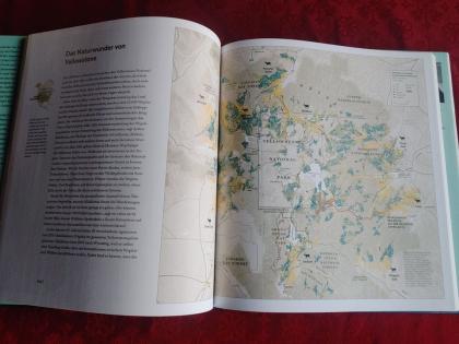 Tierbuch Sachbuch über Tierwanderungen Die Wege der Tiere