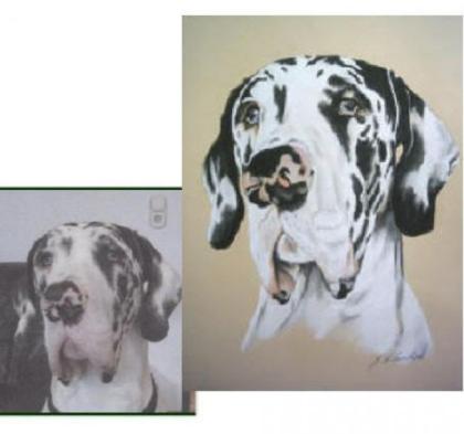 Hundeportraits, Tierportraits nach Fotovorlage