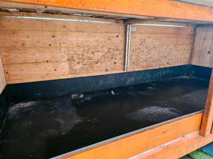 NHD Minilop Zwergwidder Zwergkaninchen Kaninchenstall Hasenstall